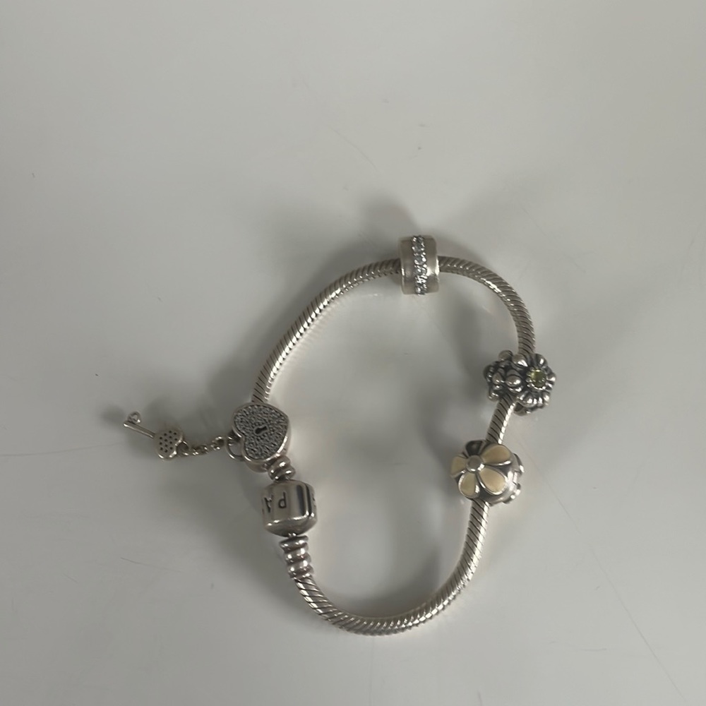 Pandora bracelet and charms